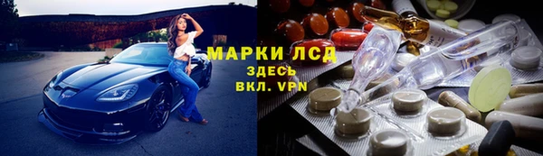 прущие грибы Лихославль