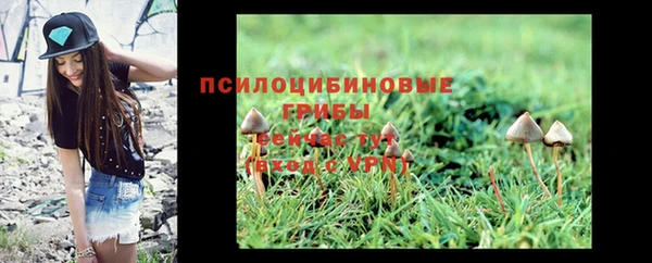 прущие грибы Лихославль