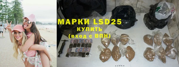 прущие грибы Лихославль