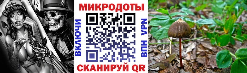 Галлюциногенные грибы мицелий  Купить где  Холм 